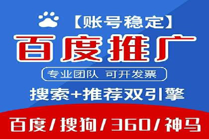 某电商平台的SEM推广实践与效果展示